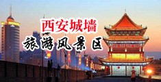 羞羞羞拍拍拍中国陕西-西安城墙旅游风景区